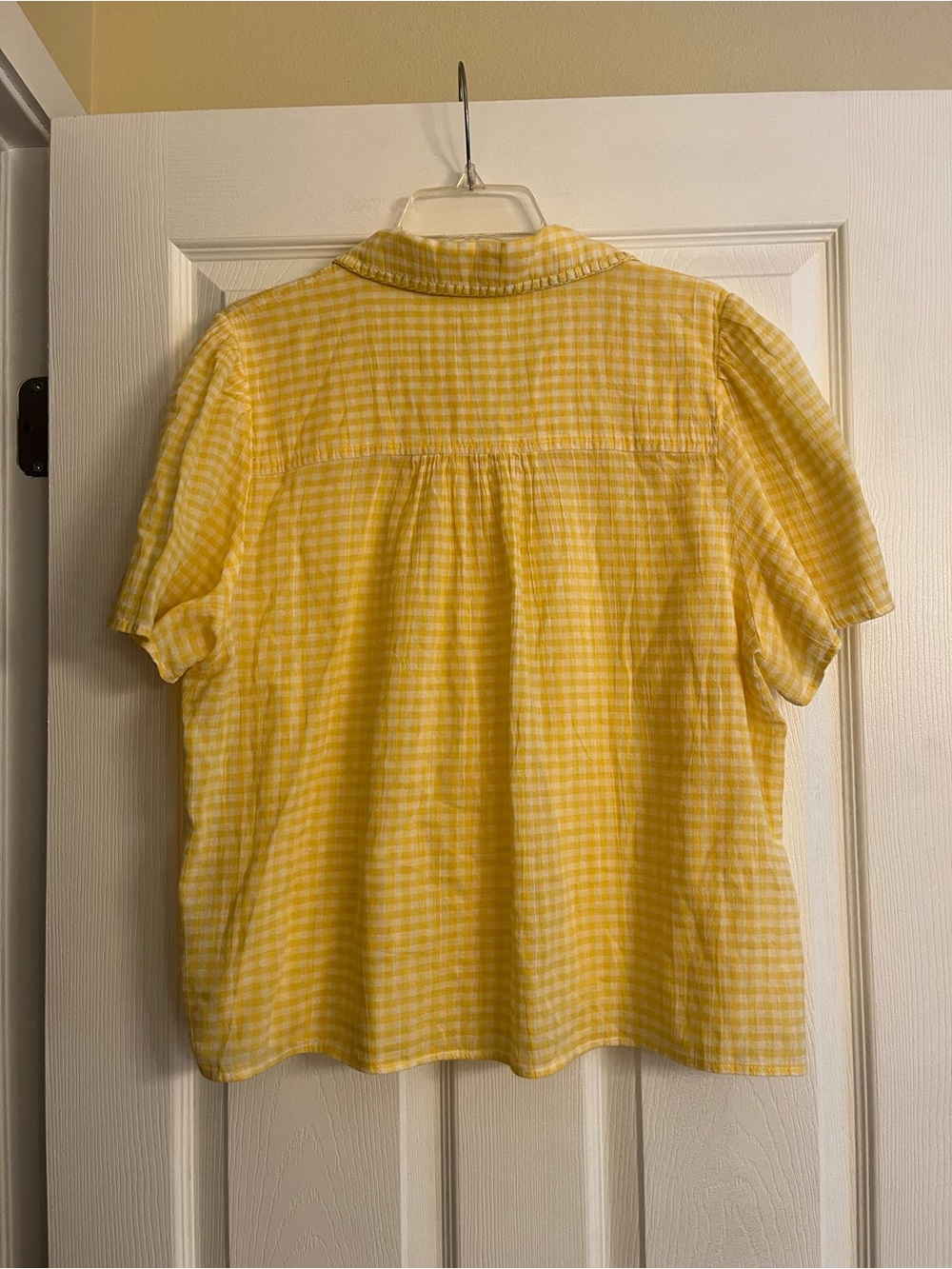 Pilcro Cotton Button-Down Shirt - Picture 7 of 10